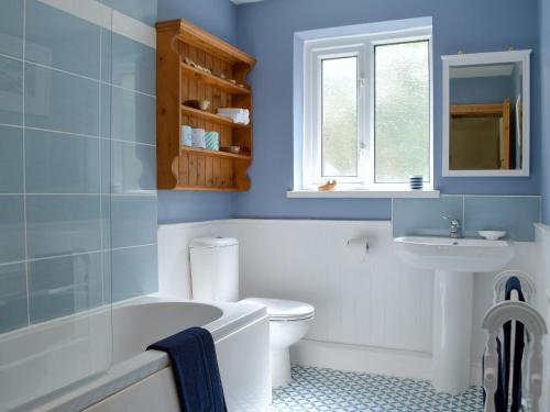 a blue bathroom with a toilet and a sink at Bryn Heulog in Penclawdd