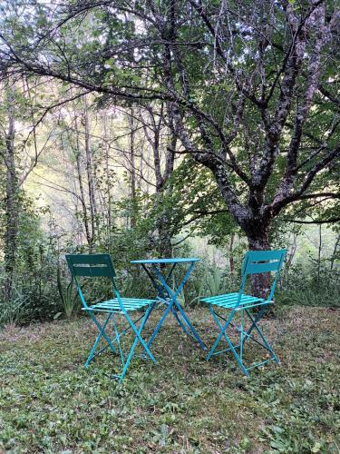 2 chaises bleues et une table à côté d'un arbre dans l'établissement Deux pièces de caractère au cœur des gorges, à Engins