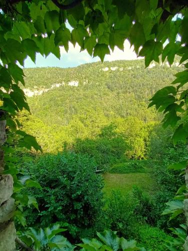 - une vue sur une colline verdoyante depuis un arbre dans l'établissement Deux pièces de caractère au cœur des gorges, à Engins