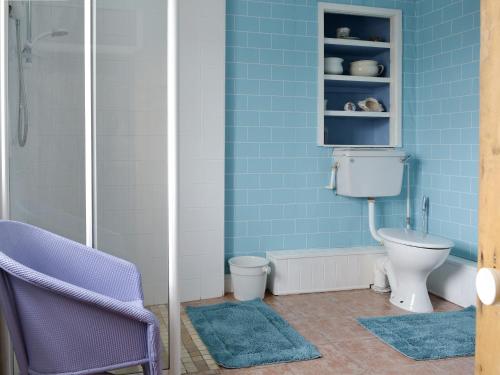 Llanfaelrhys的住宿－Ty Hen，浴室设有卫生间和蓝色瓷砖淋浴。