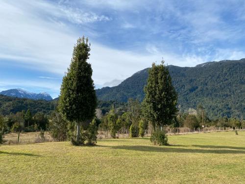 two trees in a field with mountains in the background at Cabañas Austral Rivers in Puelo