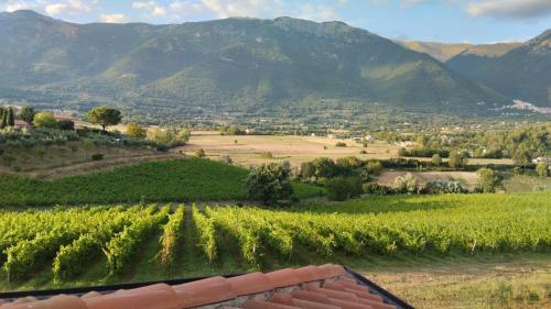 Vigna al Parco – Photos 2