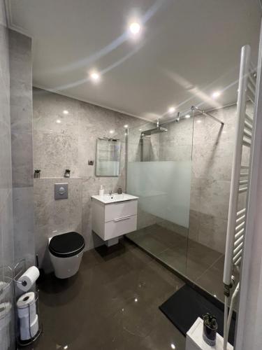 a bathroom with a toilet and a sink and a shower at Nid d'Amour in Strasbourg