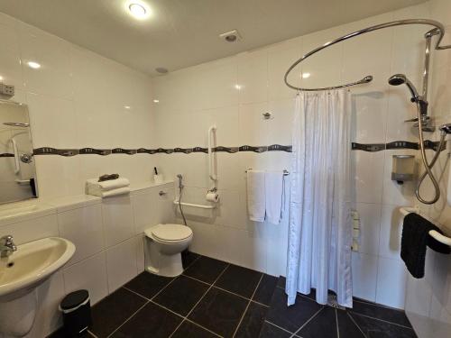 a bathroom with a shower and a toilet and a sink at Fuchsia Lodge - New Luxury 5* Beachside Lodge with Sauna - 4 beds ensuite - Spectacular Location in Cahersiveen