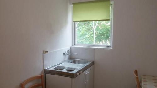 Kuchyň nebo kuchyňský kout v ubytování Apartment Twins