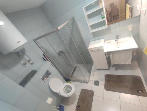 a bathroom with a shower and a toilet and a sink at Apartman Zlatibor in Zlatibor