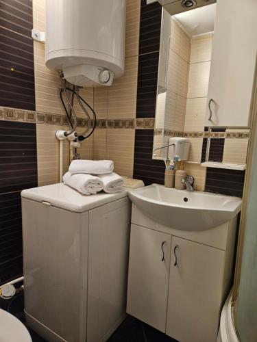 uma pequena casa de banho com lavatório e WC em Epicentar apartment em Loznica
