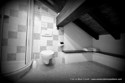 a bathroom with a toilet and a shower at Hotel Le Soleil in Challand Saint Anselme