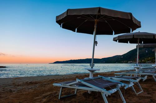un gruppo di sedie a sdraio e ombrelloni in spiaggia di Hotel Acciaroli ad Acciaroli