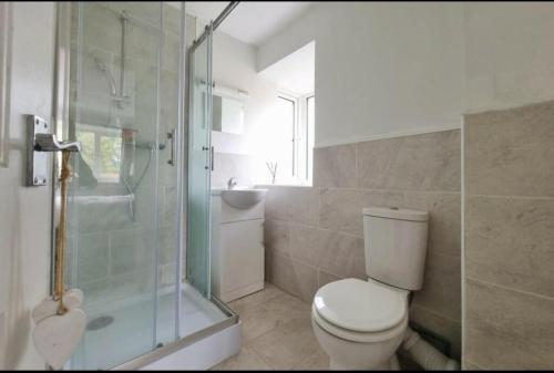 a bathroom with a toilet and a shower and a sink at Property near Marina & Leisure in Portsmouth