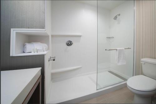 a white bathroom with a shower and a toilet at Courtyard Largo Medical Center Drive in Largo