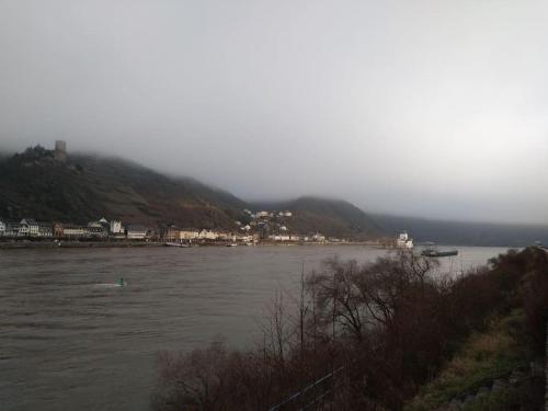 a view of a river with a boat in the water at 100 Stufen über dem Rhein in Oberwesel