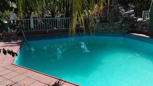 una gran piscina azul con una palmera en American Hoteles en Villa Carlos Paz