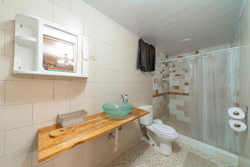 y baño con lavabo, aseo y ducha. en Cabaña de montaña Boquete, en Bajo Boquete