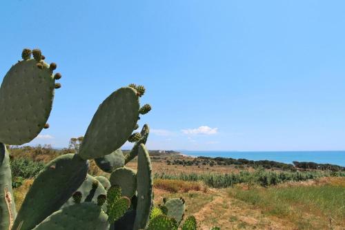 a cactus with the ocean in the background at Apartment in Marinella di Selinunte Castelvetrano 150 m from the sea in Castelvetrano Selinunte