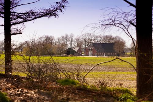 een veld met een boerderij op de achtergrond bij Bed And Breakfast Geertruidahoeve in Hellendoorn