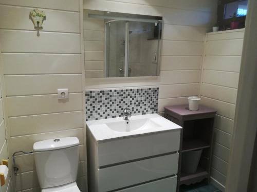 une salle de bain avec un lavabo et des toilettes dans l'établissement Appartement Cosy aux Gets - 4 pers, Balcon, Parking Privé, Proche Télécabines et Centre - FR-1-671-103, aux Gets