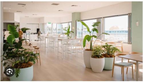 a room with tables and chairs and potted plants at Absolute Beachfront at the Pier Glenelg in Adelaide
