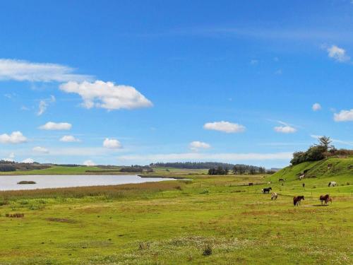 a group of horses grazing in a field next to a lake at 6 person holiday home in Bedsted Thy-By Traum in Bedsted Thy