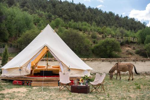 a white tent with a horse grazing in a field at Shangri -la Liotard Farm Fix Camp in Shangri-La