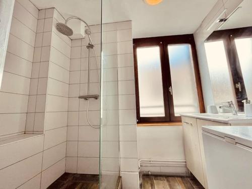 een badkamer met een douche en een glazen deur bij L'edelweiss: three-bedroom hypercentre in Saint-Étienne