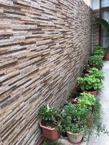 Sina Guesthouse