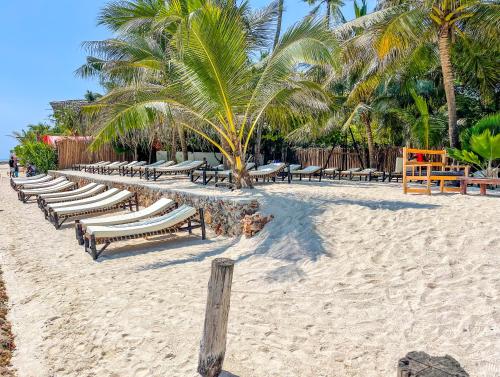 a row of benches on a beach with palm trees at Kibanda Lodge and Beach Club in Nungwi