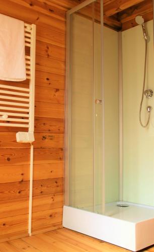 La salle de bains est pourvue d'une douche en verre et de murs en bois. dans l'établissement Chalet Ariégeois, à Saint-Ybars