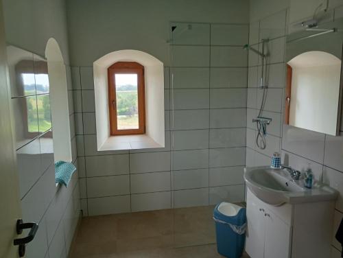 a bathroom with a sink and a shower with a window at Le Nid du Sanglier in Verlaine