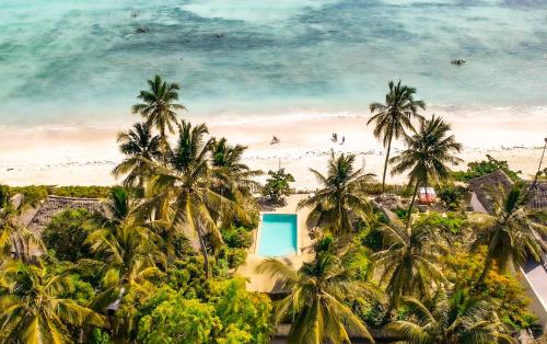 an aerial view of a beach with palm trees at Pili Pili Uhuru Beach Hotel in Jambiani