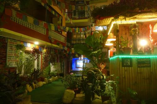 een kamer gevuld met veel planten en verlichting bij Nirvana Green Peace Home in Kathmandu