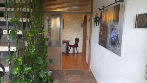 un couloir avec une chaise et une table avec une plante dans l'établissement Ferienwohnung Margit, à Sulzfeld