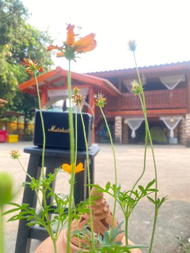a plant with flowers in front of a trash can at Fatima homestay ฟาติมาโฮมสเตย์ in Ban Nam Lat