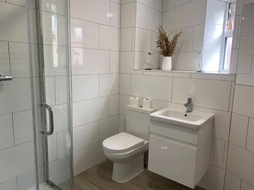 a white bathroom with a toilet and a sink at Swansea city center flat parking in Swansea