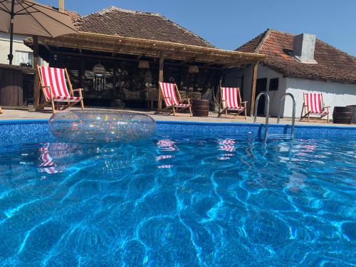 a swimming pool with a raft in the middle of it at Аjdemote in Topola