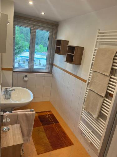 a bathroom with a sink and a towel rack at Ferienwohnung Martin und Tanja Klumpp in Baiersbronn