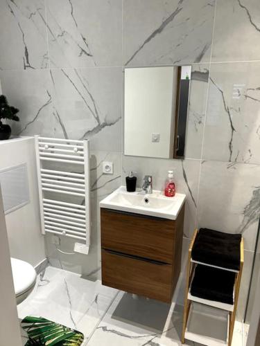 une salle de bain avec un lavabo et des toilettes dans l'établissement studio très agréable, à Roubaix