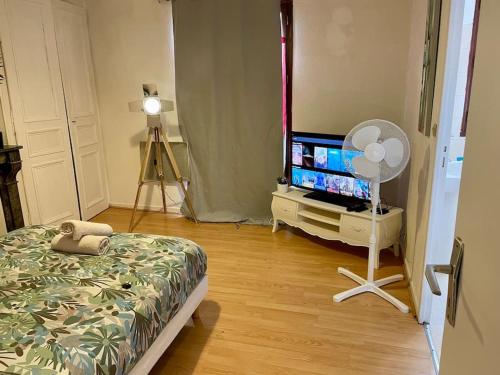 una camera con letto, TV e ventilatore di Appart T2 Cozy City Center a Le Mans