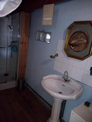 une salle de bain avec un lavabo et une douche dans l'établissement La Maison de Port à la Duc, à Pléboulle