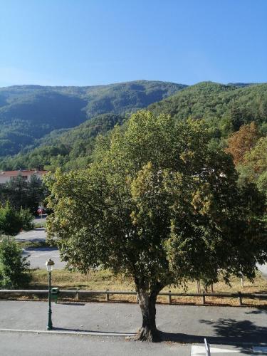 Appartement Puget-Théniers – Photos 4
