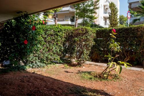a hedge in front of a house with red roses at V.L.A Apartments by the sea in Vari