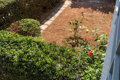 a garden with red flowers and green bushes at V.L.A Apartments by the sea in Vari