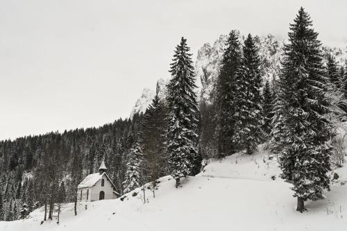 a small chapel in the snow next to trees at Rifugio Cereda in Fiera di Primiero