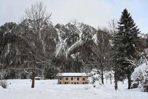 a house in a snowy field with trees and snow at Rifugio Cereda in Fiera di Primiero