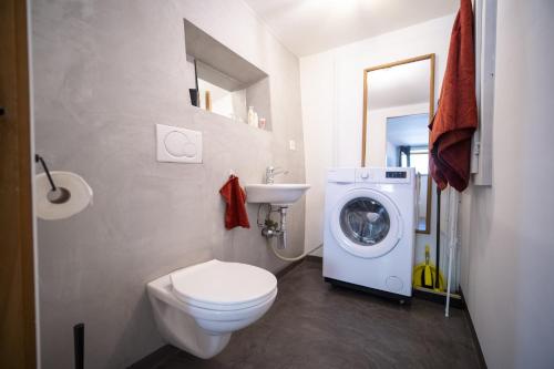ein Badezimmer mit einem WC und einer Waschmaschine in der Unterkunft Chasa Muglin Ardez in Ardez