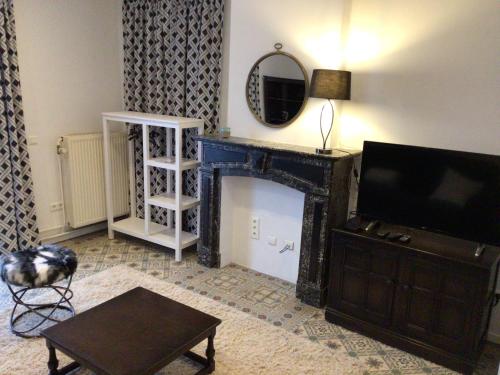 普羅豐德維耶的住宿－Black and white，客厅设有壁炉和电视。