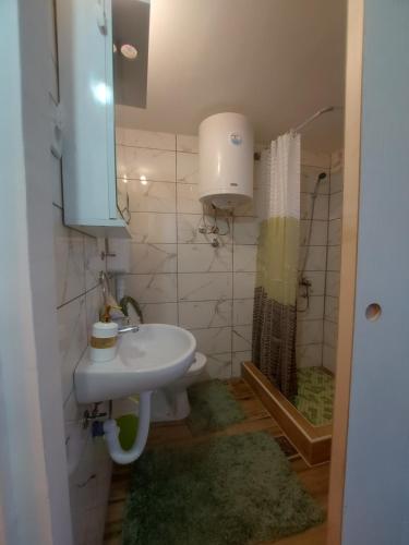 uma pequena casa de banho com um lavatório e um chuveiro em Vikendica Nada em Ljubovija