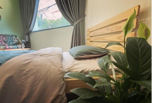 a bedroom with a bed and a window and a plant at BabaHouse-Homestay Thành phố Vinh in Bến Thủy