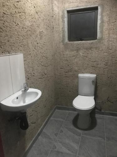 a bathroom with a toilet and a sink and a tv at Mababe River Campsite in Mababe