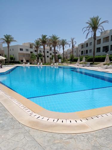 a large swimming pool in a resort with palm trees at Azha Ain Sokhna apartment in Ain Sokhna